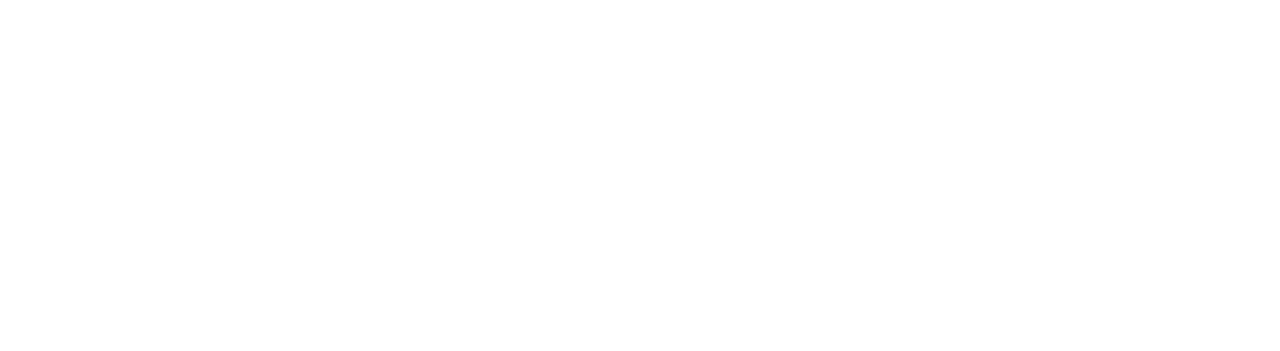 Plexis Network Solutions Ltd